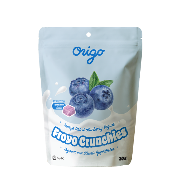 Blueberry froyo crunchies