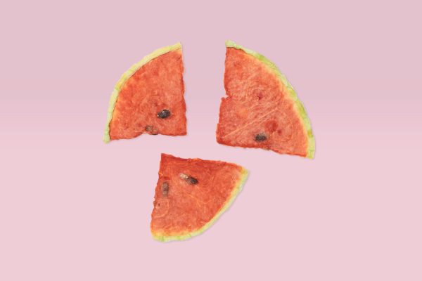 Watermelon Chips - Image 3