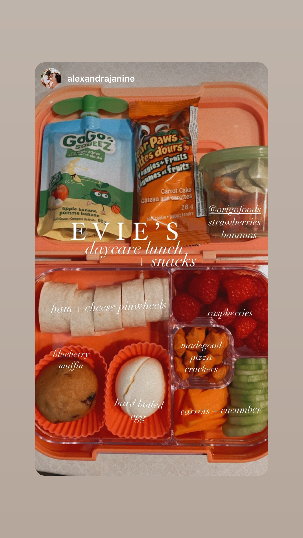 Evie’s daycare lunchbox with fruit, sandwiches, and Origo strawberries and bananas, shared by @alexandrajanine