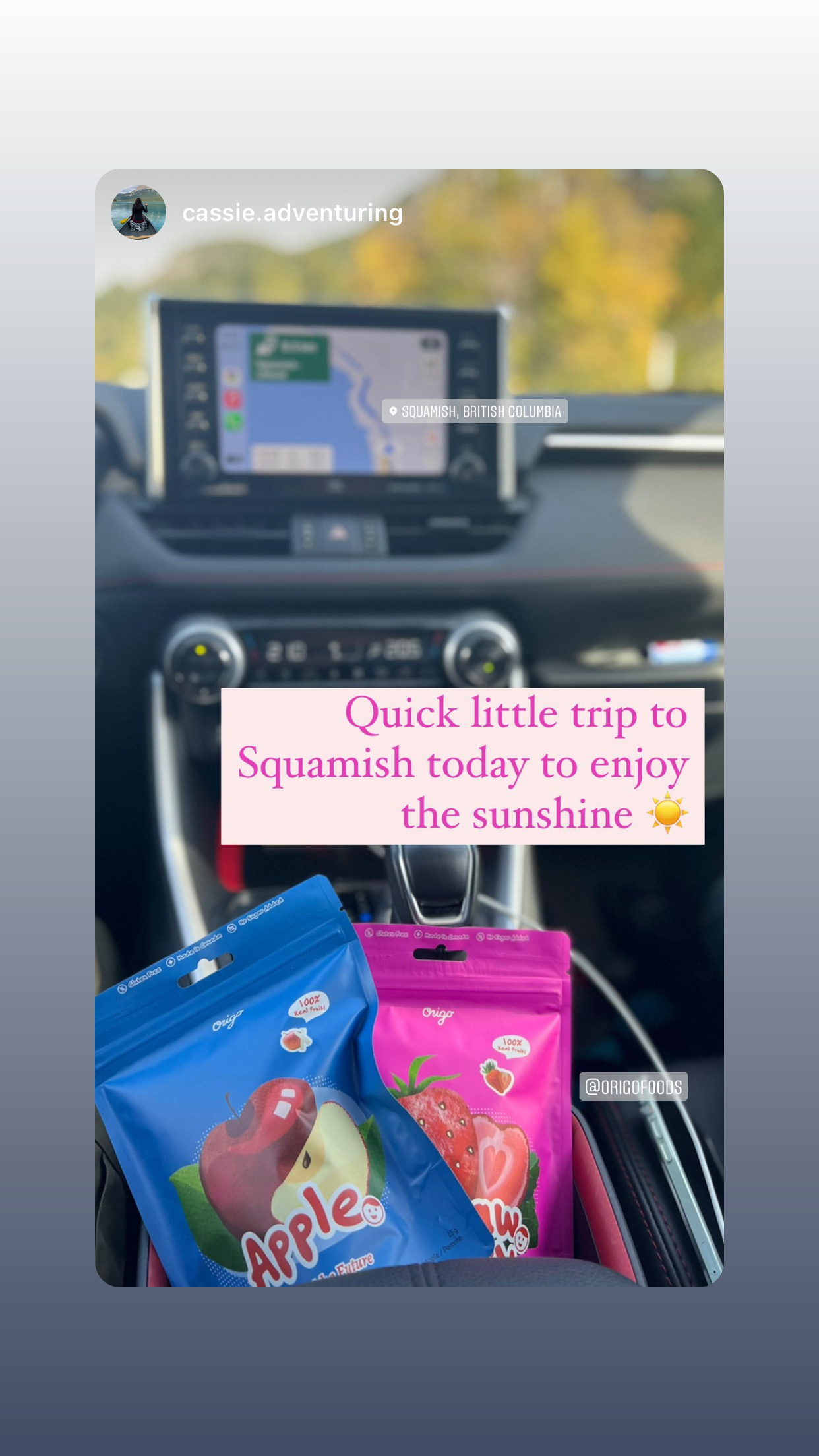 Earlier Origo Apple and Strawberry pouches inside a car during a trip to Squamish.