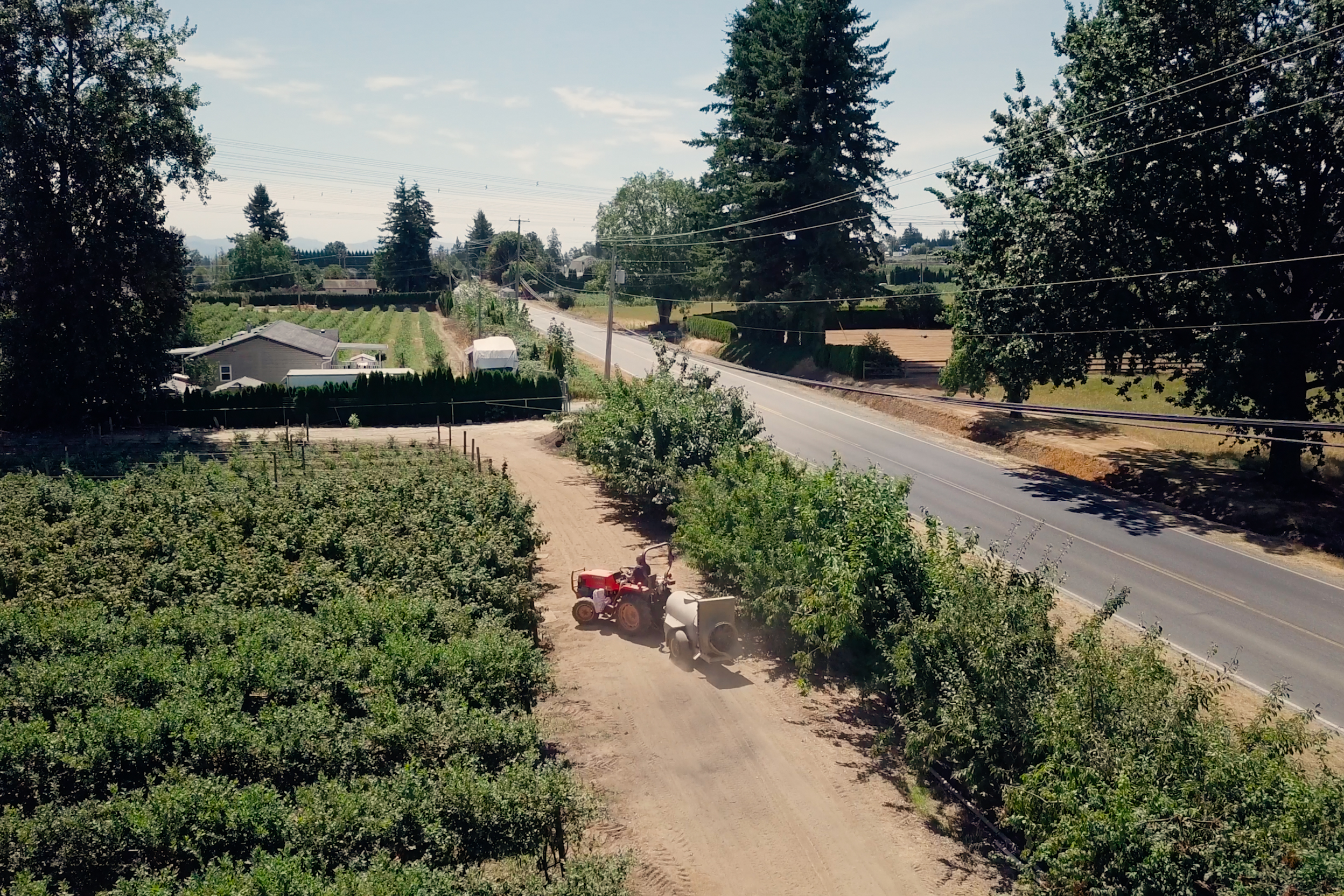 Aerial view of a British Columbia fruit farm with berry fields, orchard rows and a tractor