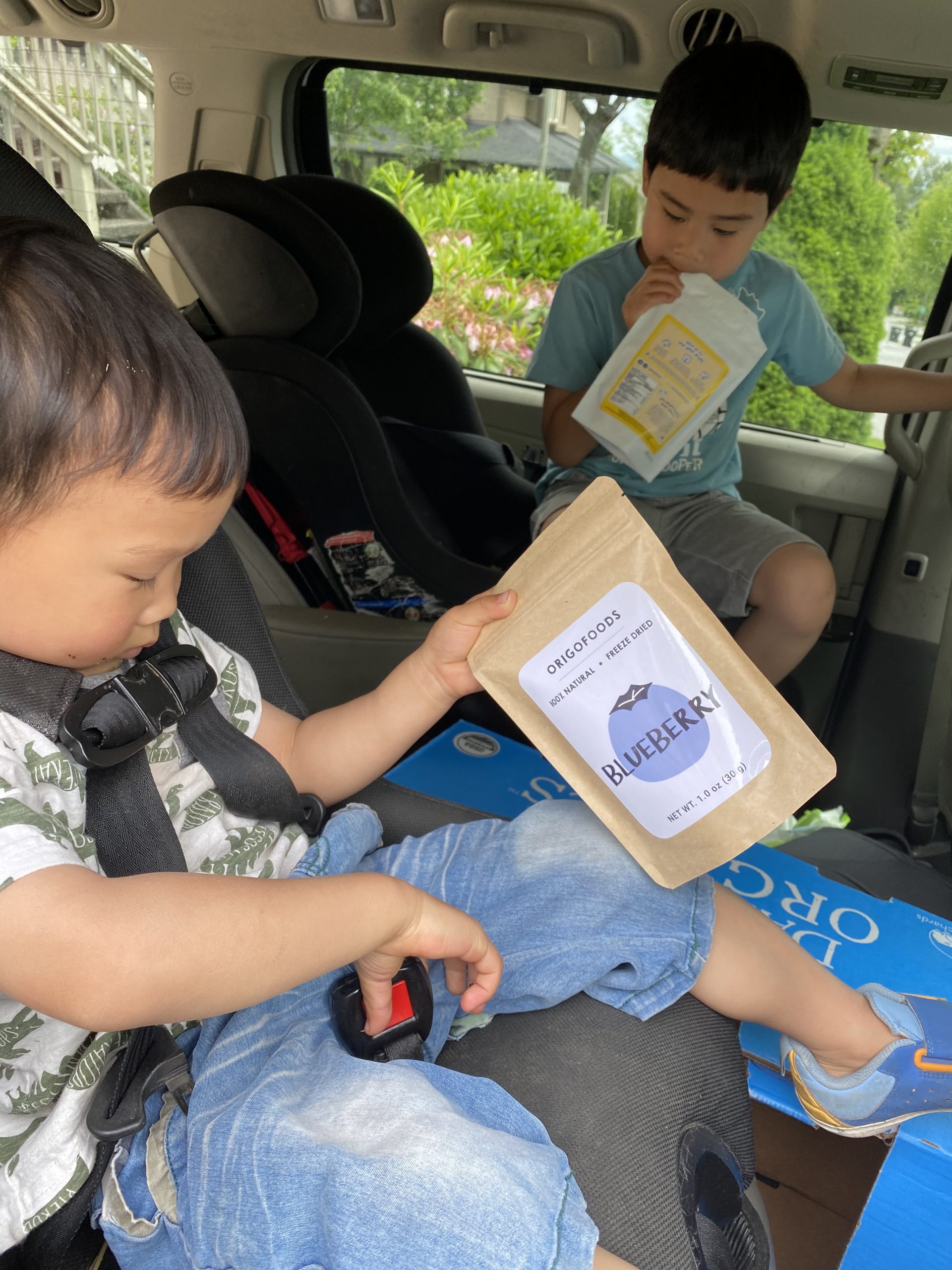 Two children enjoying Origo freeze-dried fruit in the back seat of a car during Origo’s early years